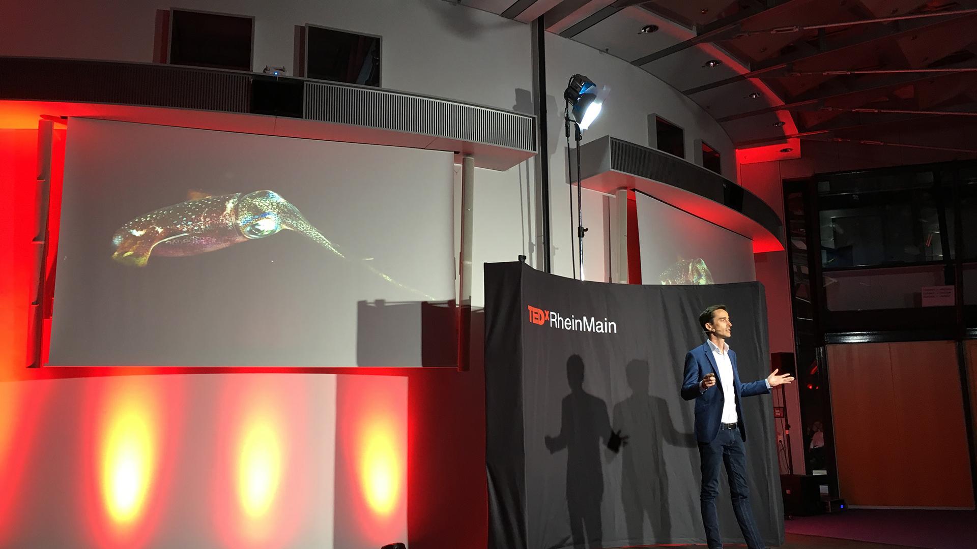 Image - Press Release - 20171116 - TEDx Image - Press Release - 20171116 - TEDx