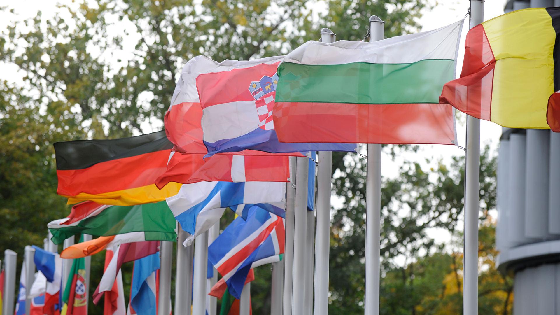 Member State Flags Member State Flags