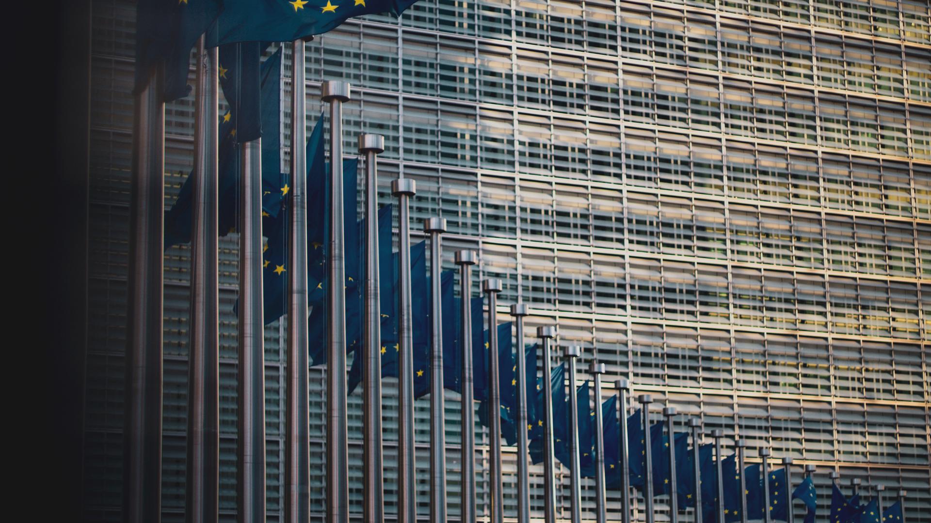 EU-flags EU-flags