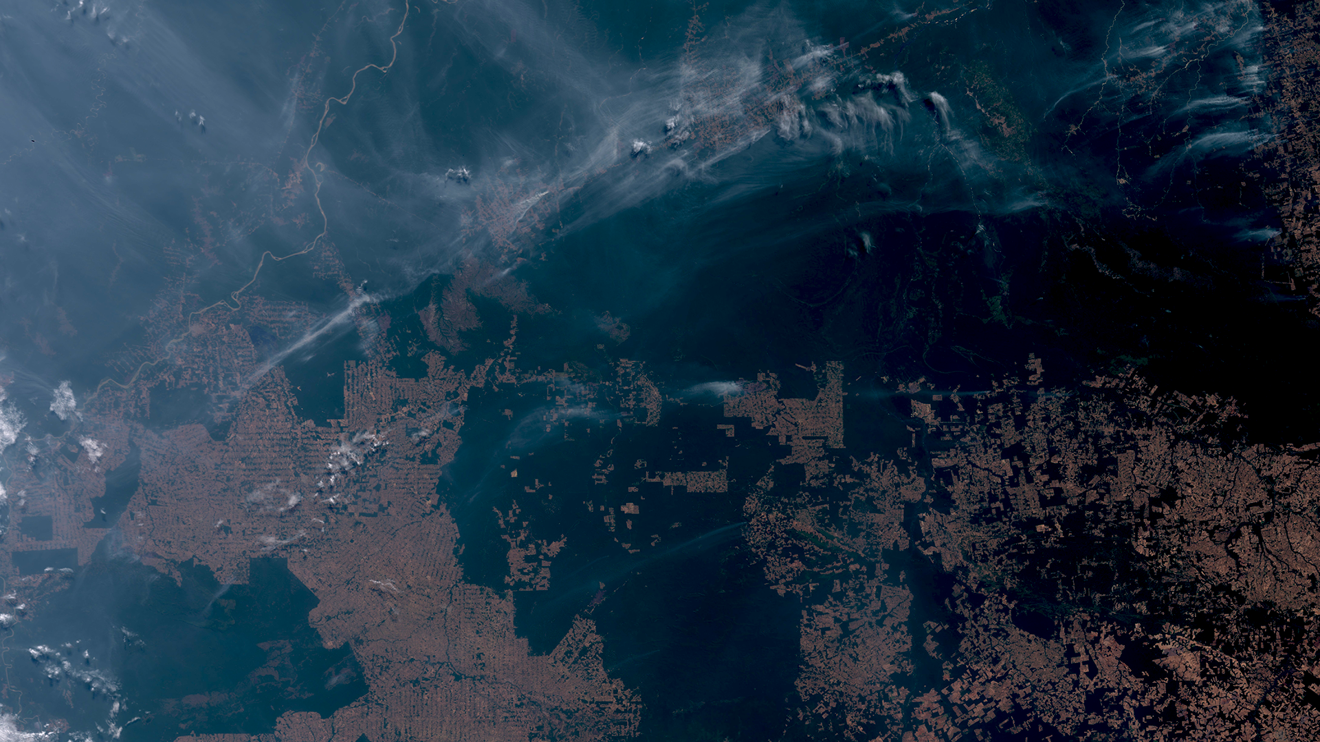 Amazon wildfires