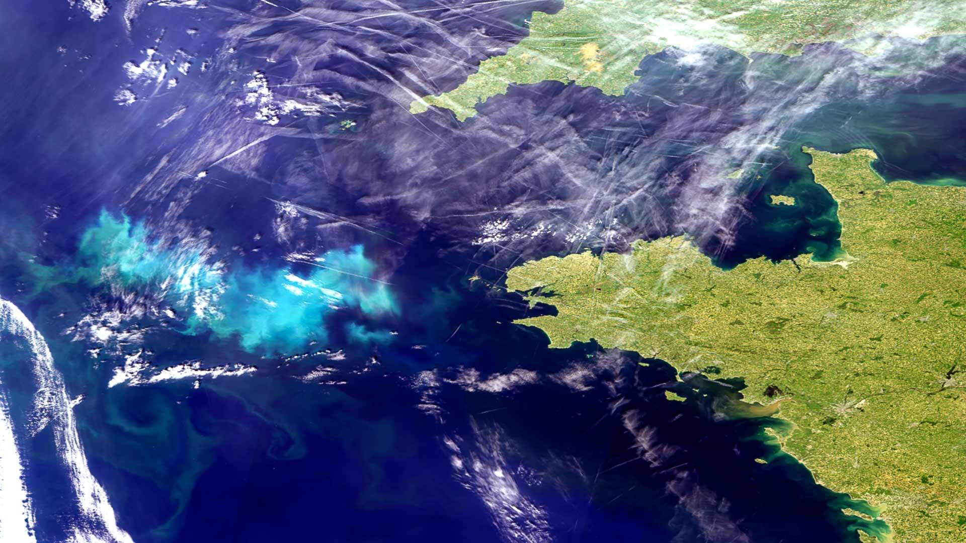 ocean data