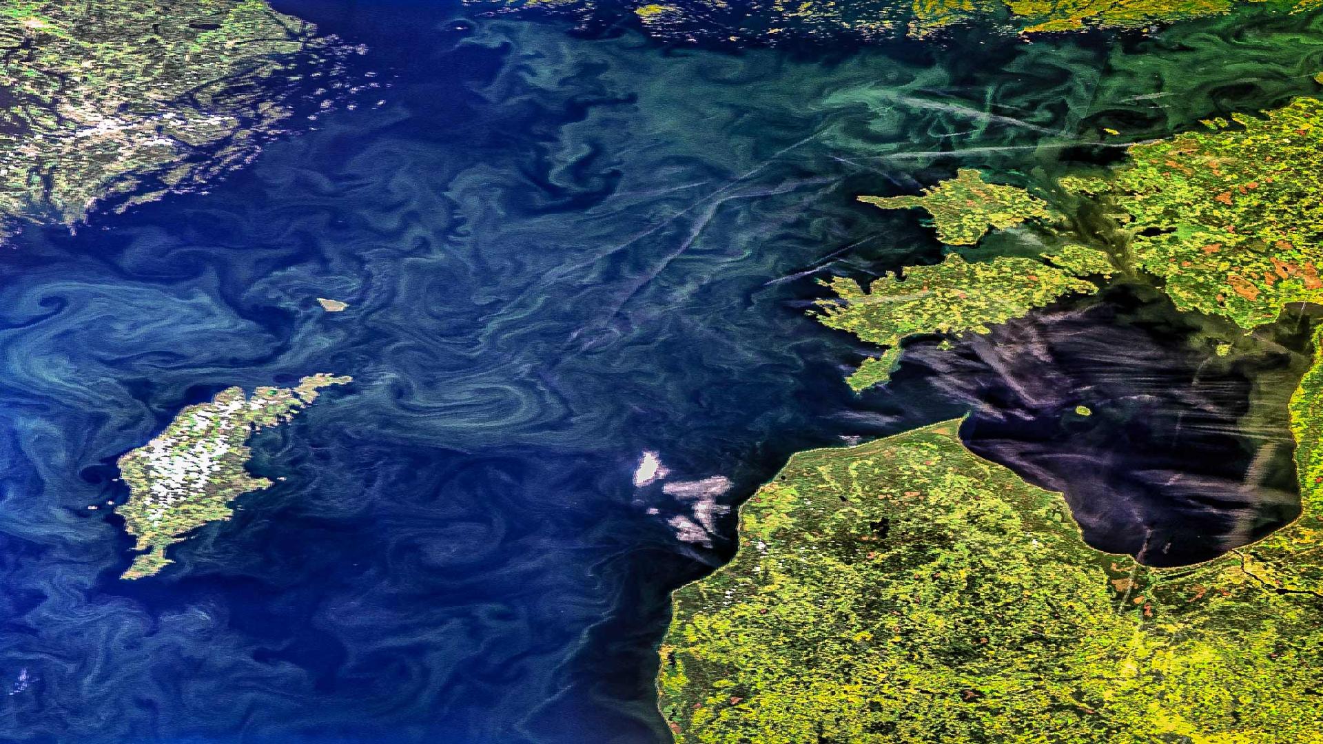 Baltic Sea phytoplankton bloom Baltic Sea phytoplankton bloom