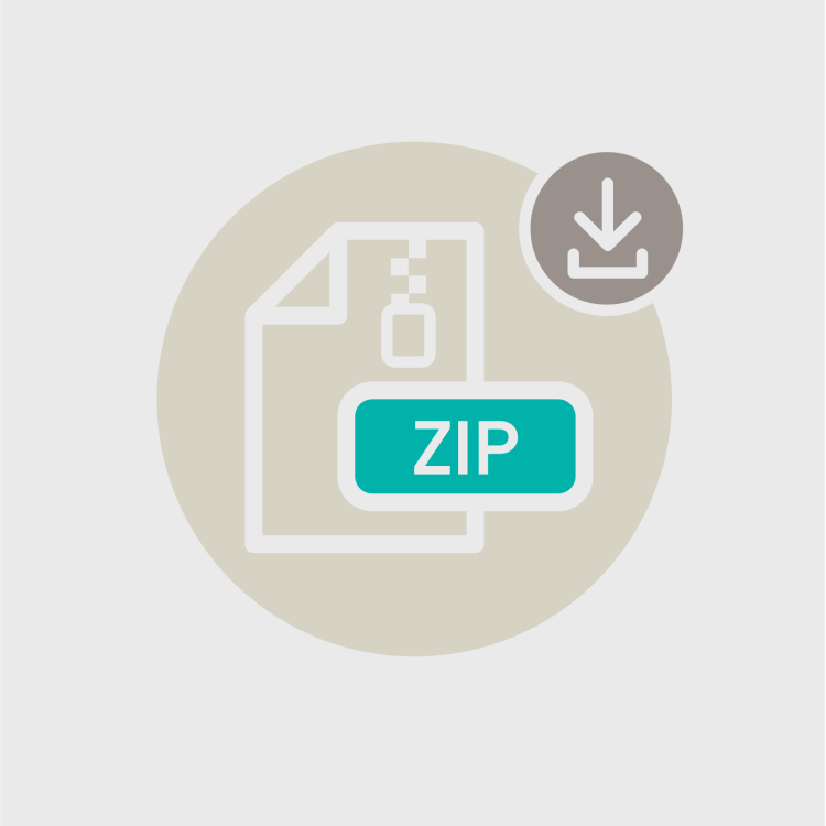 ZIP file icon