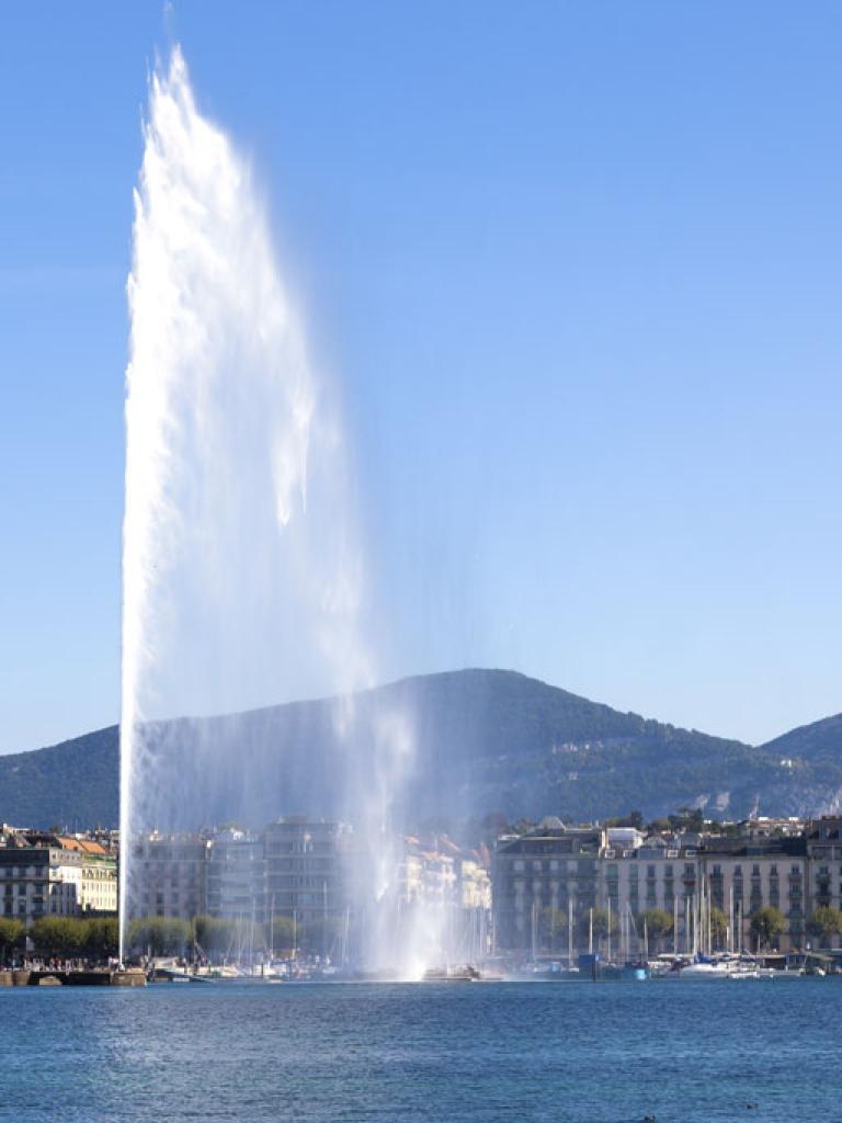 EMSC conference 2014 Geneva fountain EMSC conference 2014 Geneva fountain