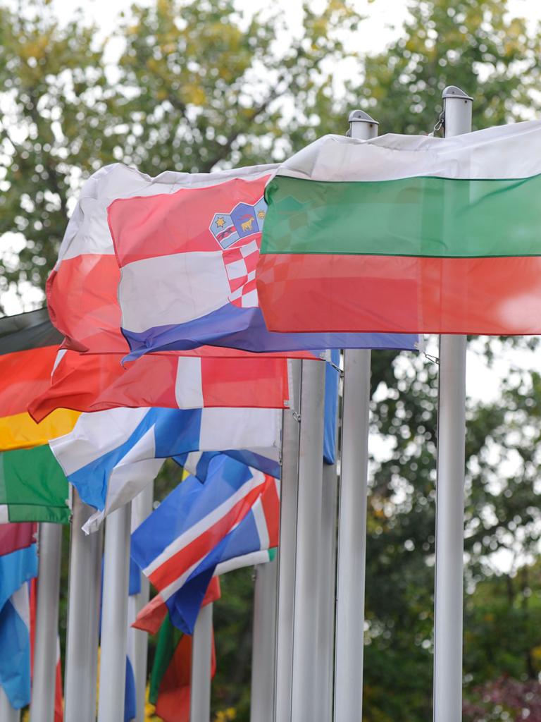 Member State Flags Member State Flags