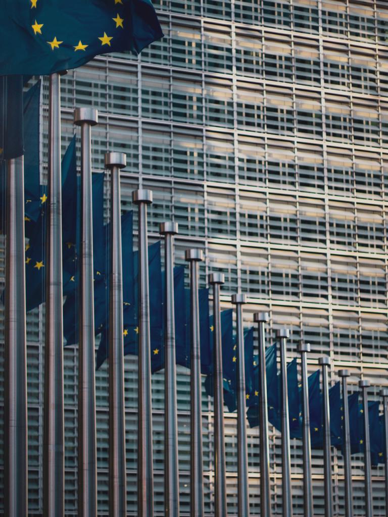 EU-flags EU-flags