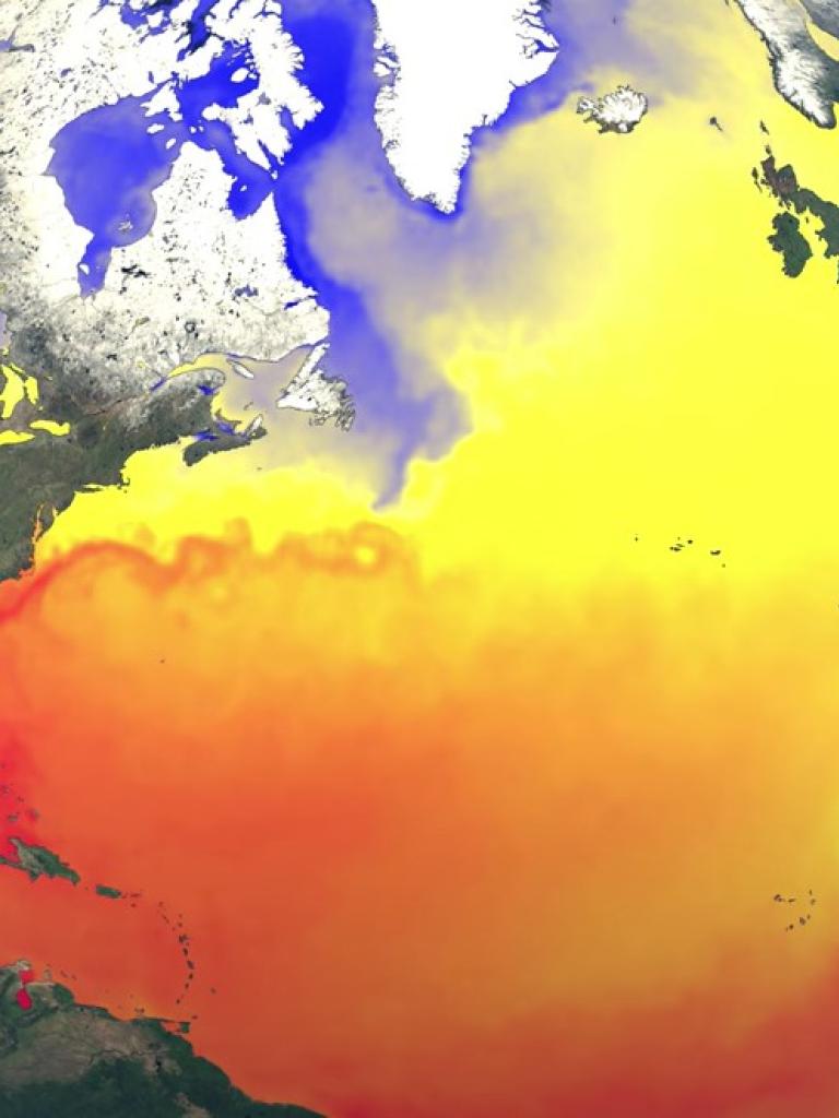 Sea surface temperature in March 2016