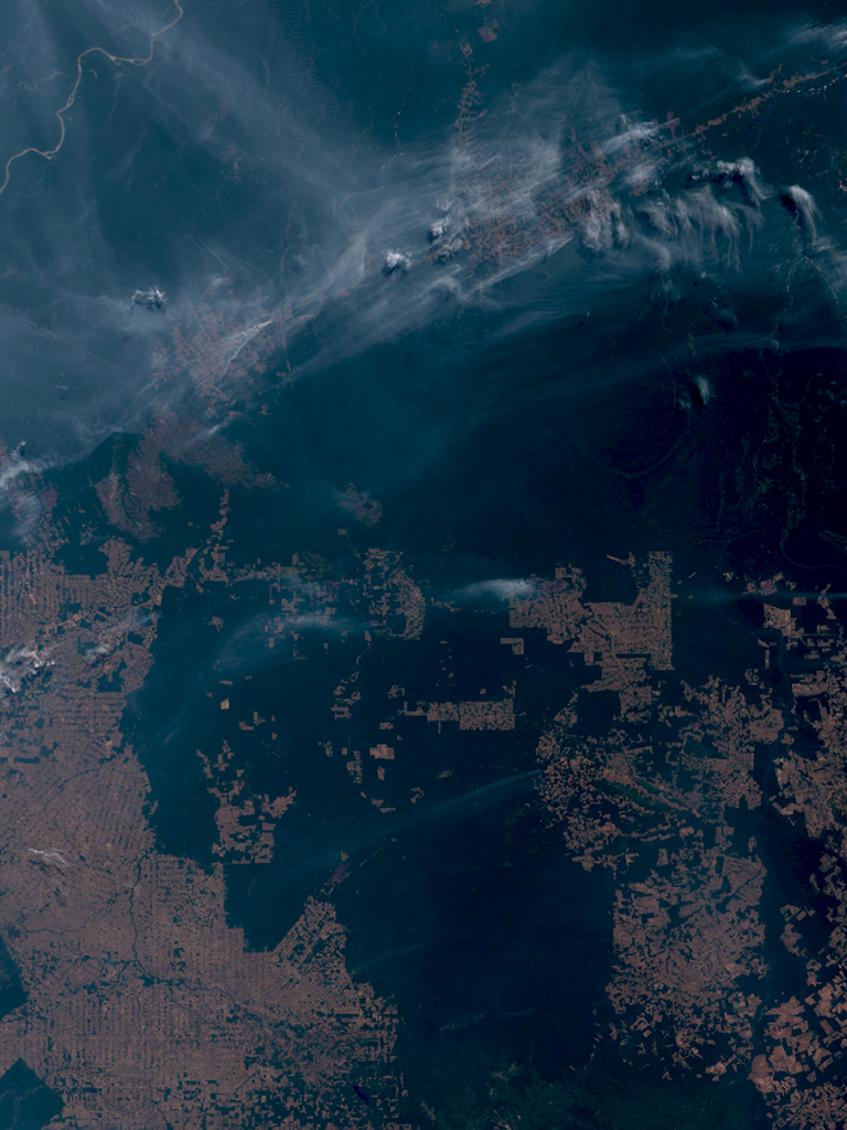 Amazon wildfires