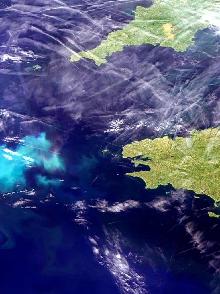 ocean data
