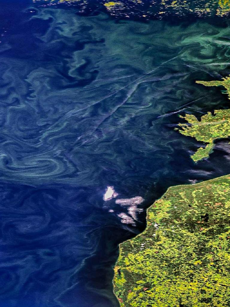 Baltic Sea phytoplankton bloom Baltic Sea phytoplankton bloom