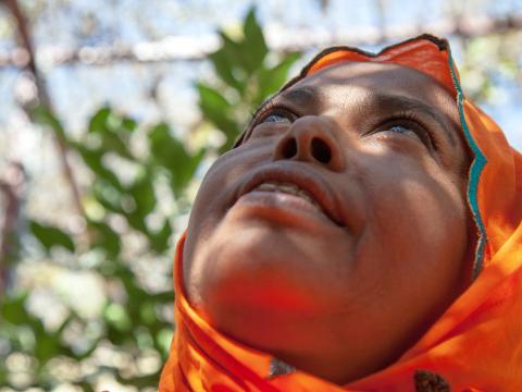 UNDP Somalia